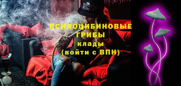 дмт Алексин