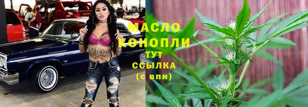 дмт Алексин