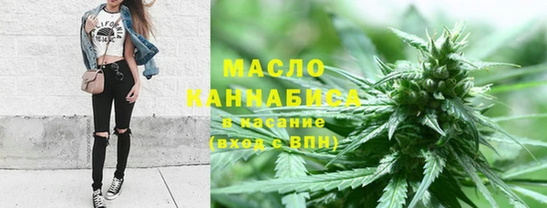 дмт Алексин