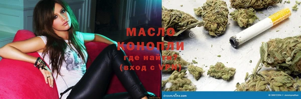 дмт Алексин